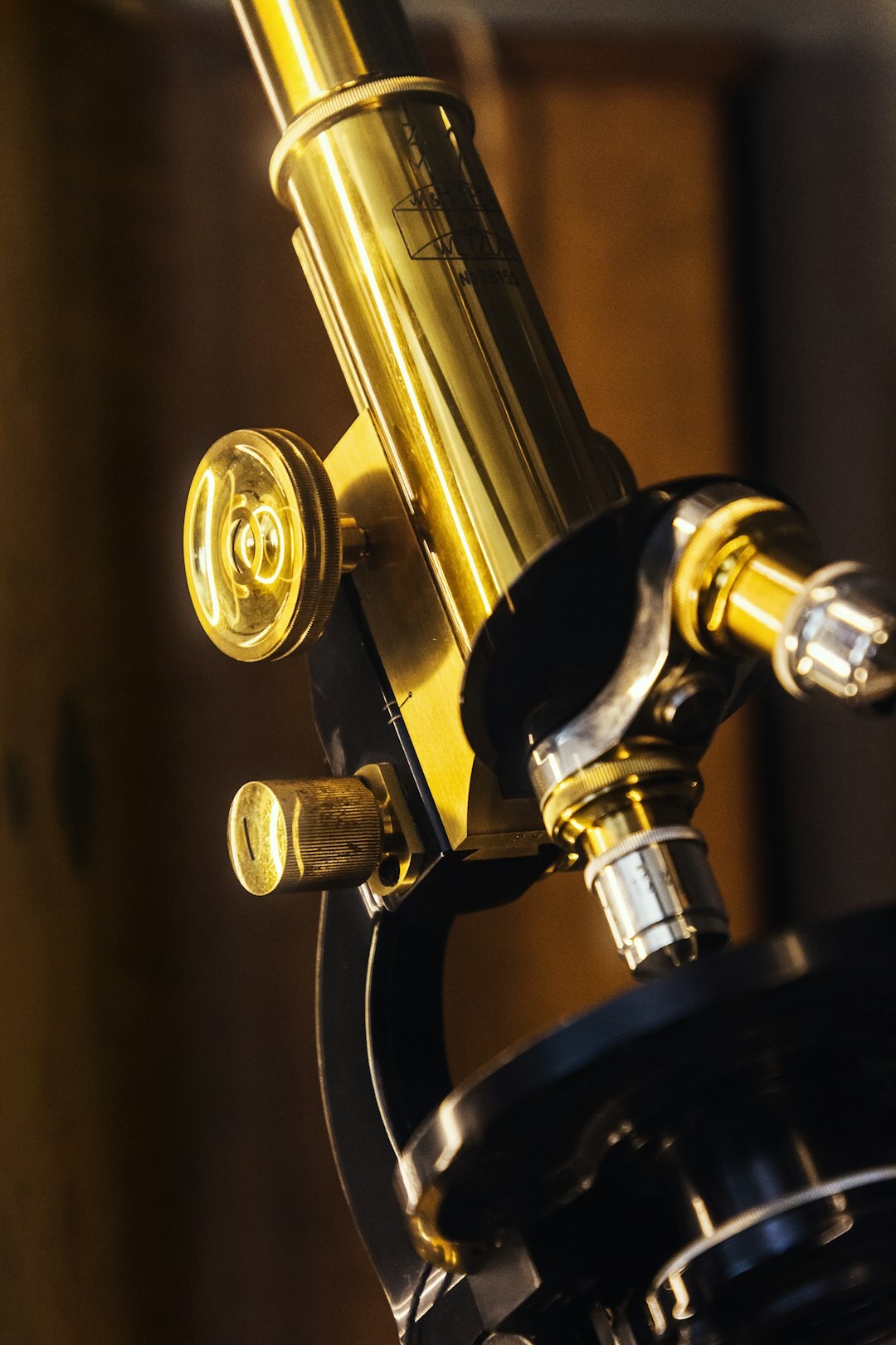 microscope close up view